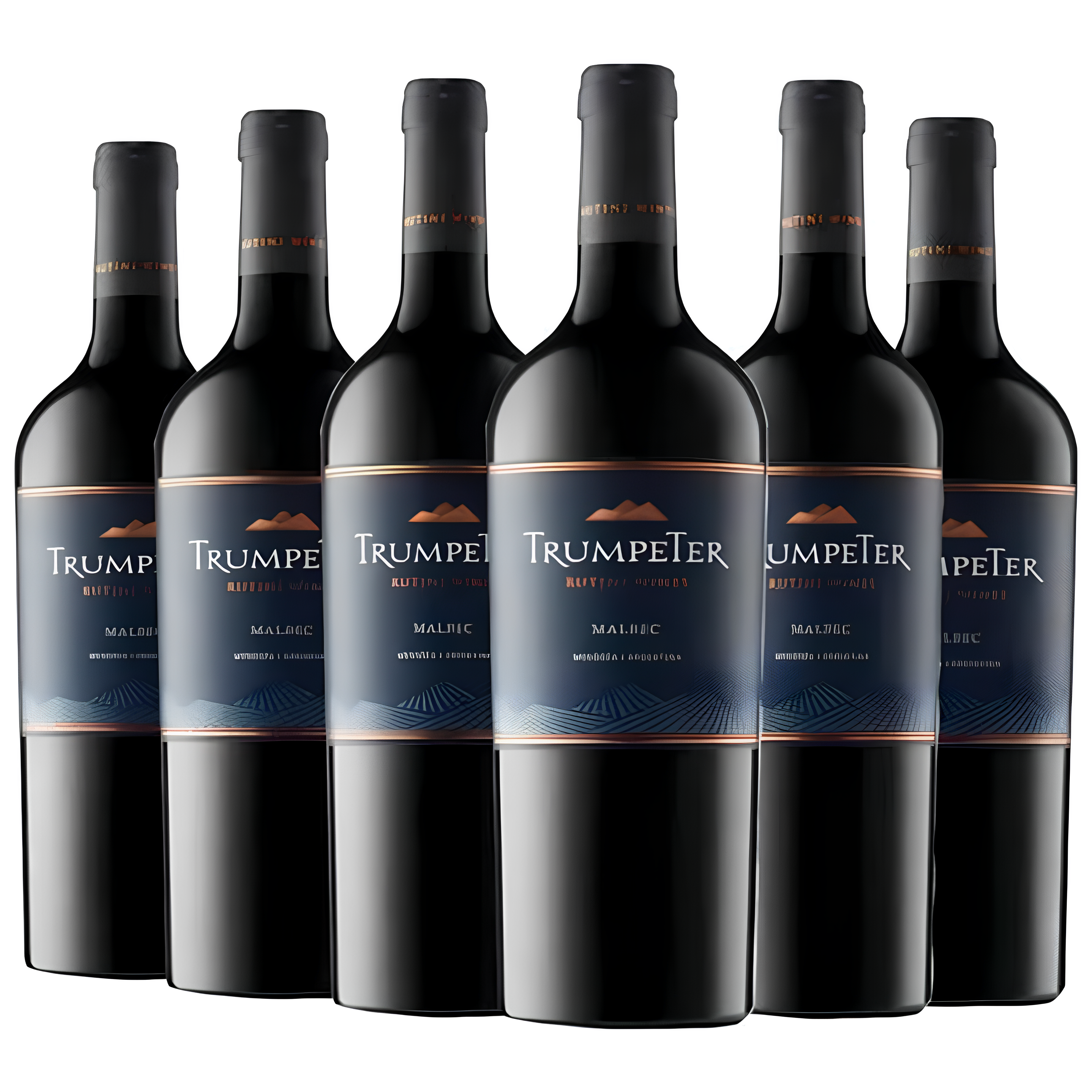 (Promoción de cumpleaños 🔥) Vino Trumpeter Malbec 750 ml x6 Unidades
